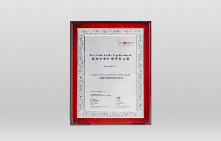 2010-BOSCH 亚太区优秀供应商