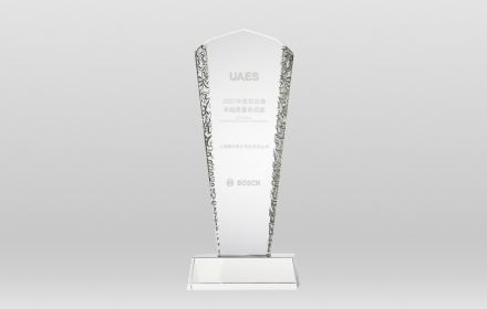 2020-UAES 卓越质量表现奖